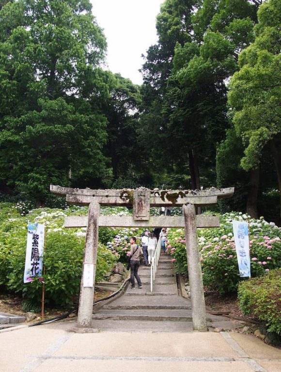 Ajisai Festival at Kibitsu Shrine: Starting point