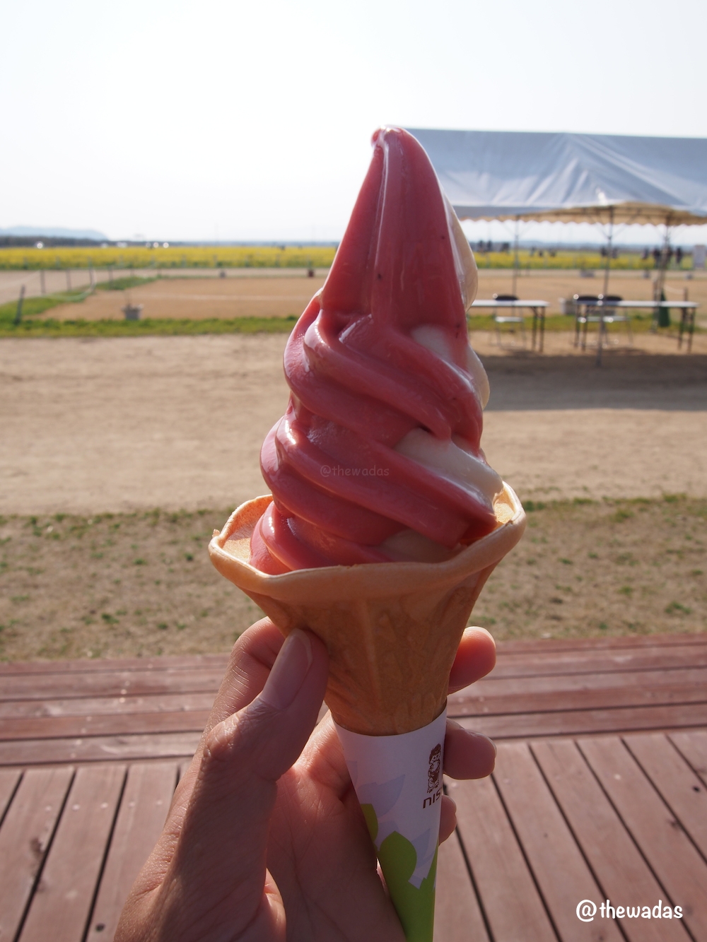 Kasaoka Bayfarm: strawberry-milk soft ice cream