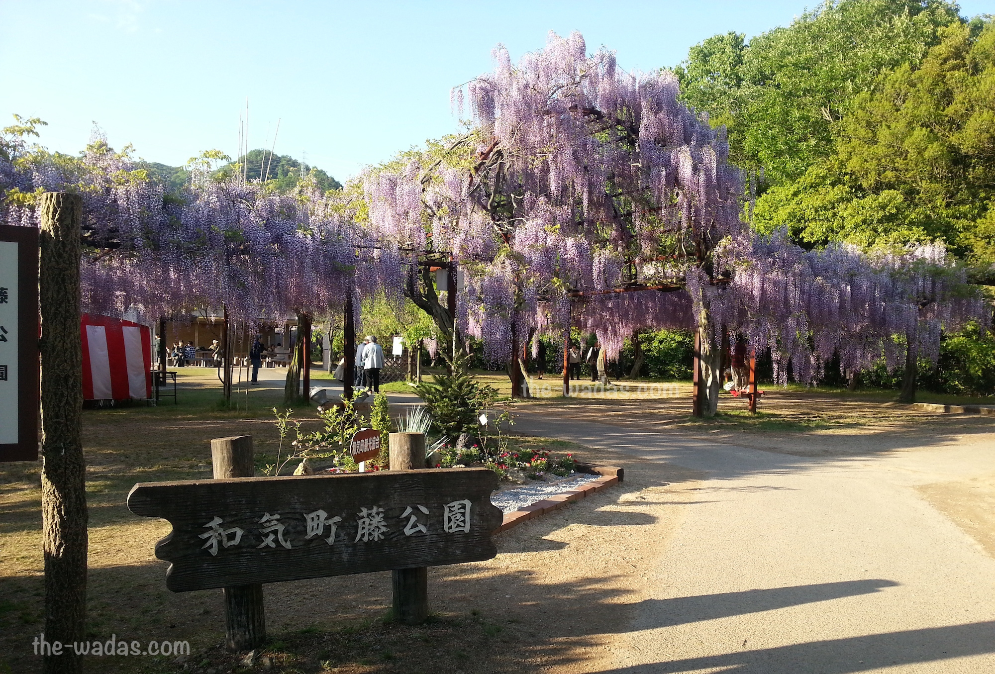 Wisteria Flower Festival, Fuji Park: entrance