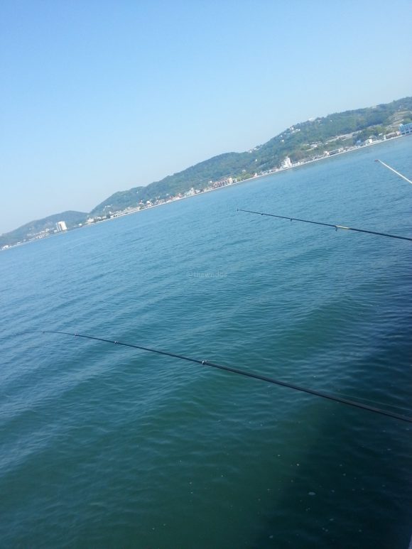 maejima_fishing_begins