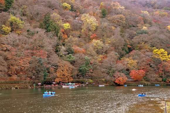 autumn_leaves_in_kyoto_arashiyama