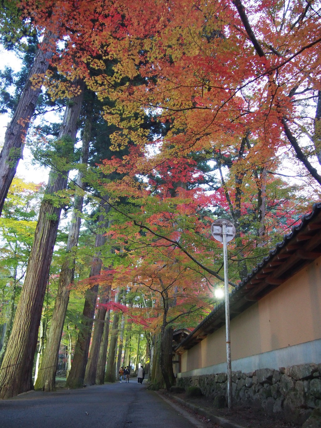 autumn leaves at buttsuji temple