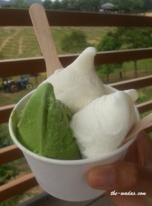 Masuda Dairy Farm, Okayama: Matcha and Vanilla Gelato