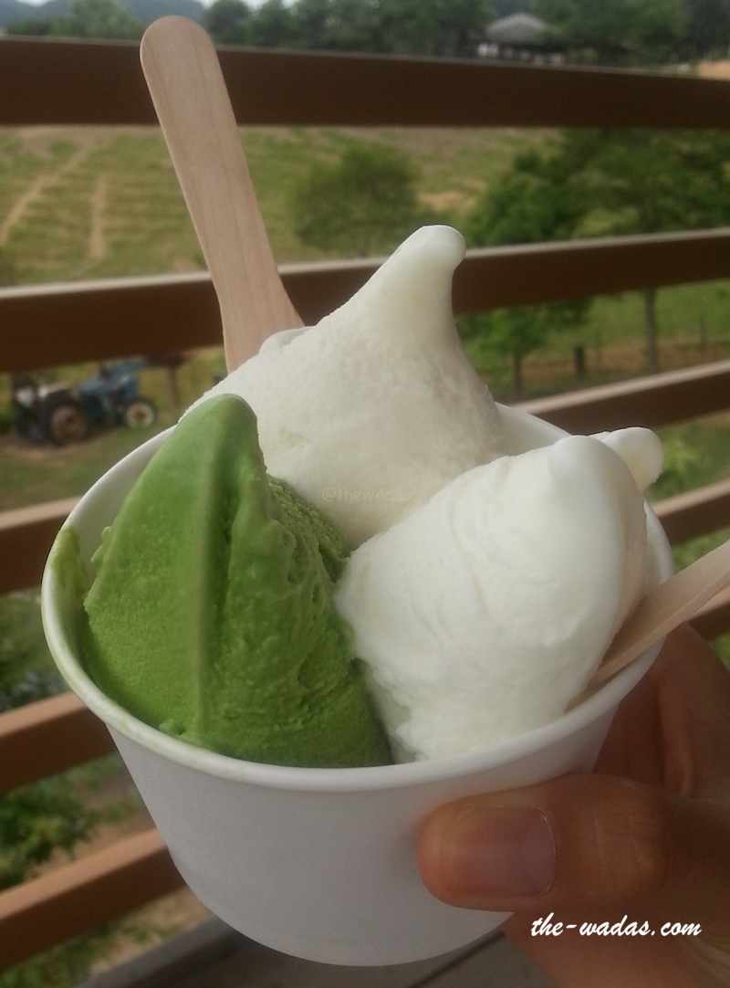 Matsuda Dairy Farm, Okayama: Matcha and Vanilla Gelato