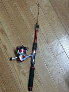 cheap_fishing_rod