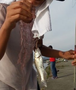 first_catch