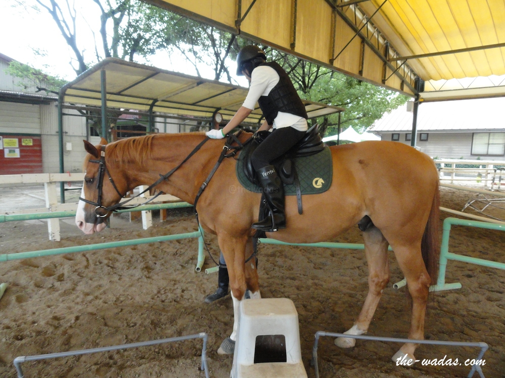 Horse Riding: Make adjustments