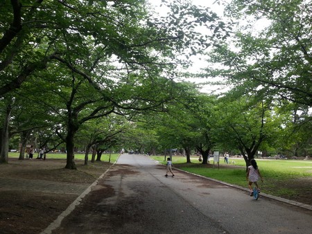 Sakazu park path