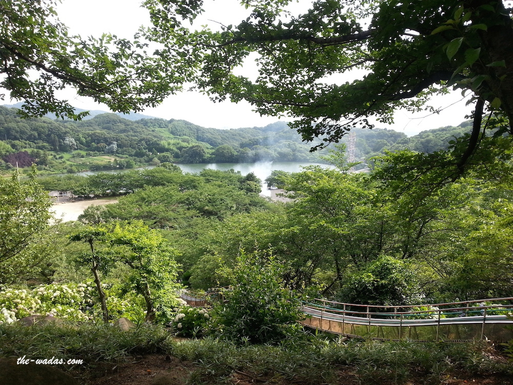 Tanematsuyama Park, Kurashiki City: View of the pond