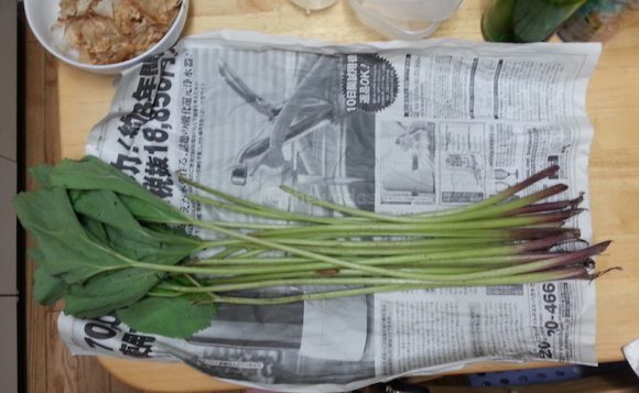 Japanese Cooking: fresh fuki (Japanese butterbur) 