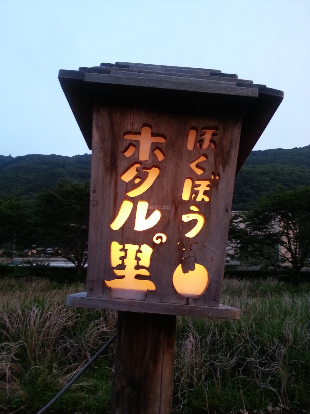 Hokubo Maniwa Firefly Festival 2016: lamp post (featured)