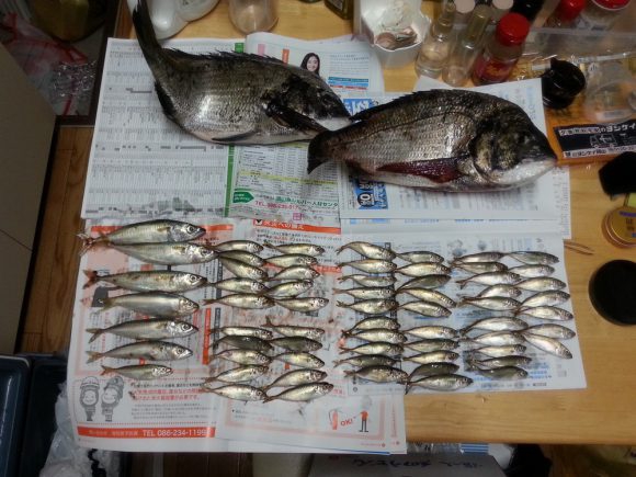 fishing_in_ashiyahama_catches