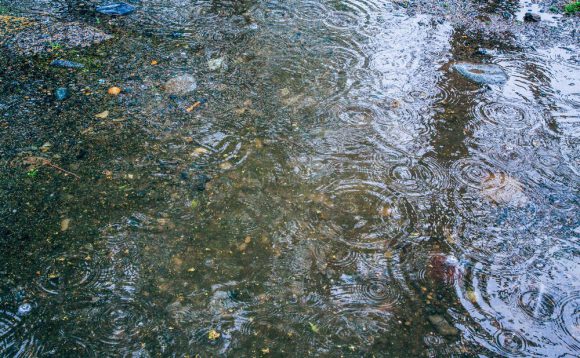 fishing_in_ashiyahama_rain