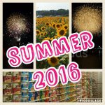 Summer 2016: Activity Highlights