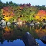 Autumn Leaves at Koko-en Garden in Himeji