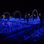 Winter Illuminations in Japan: Nabana no Sato flour garden