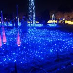 Winter Illuminations in Japan: Nabana no Sato flour garden