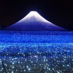 Winter Illuminations in Japan: Nabana no Sato Mt. Fuji