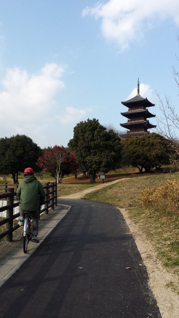 Bike Trail at Kibi Plain