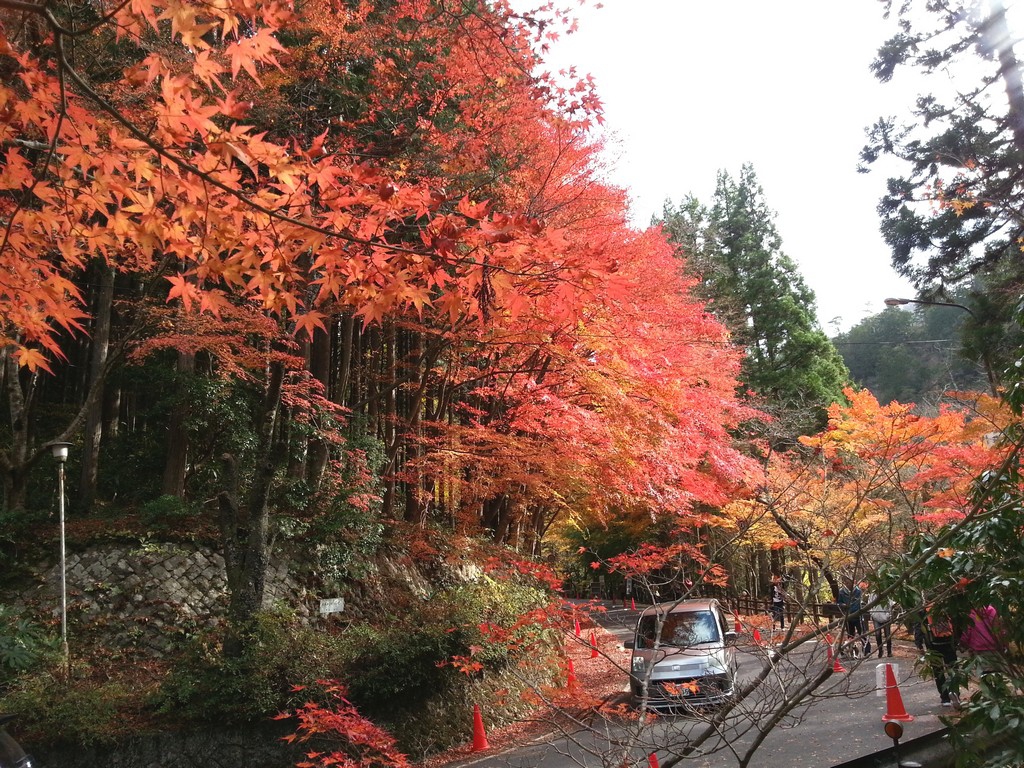 okayama's top autumn leaf spot okutsukei valley