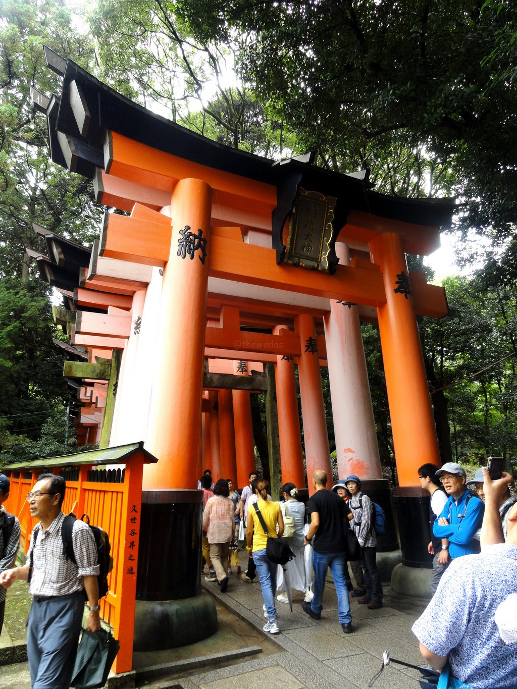 Passing Through 1000 Gates Senbon Torii At Fushimi Inari Shrine In Kyoto The Wadas On Duty