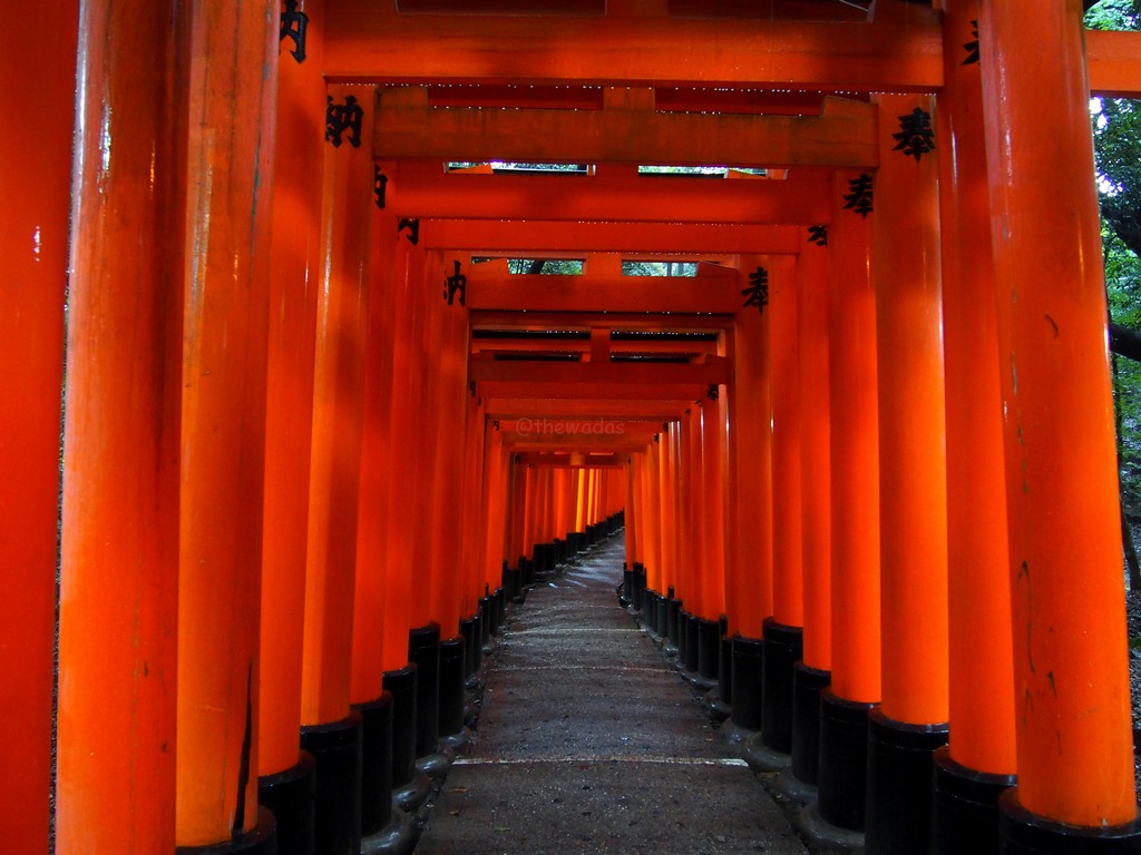 Passing Through 1000 Gates Senbon Torii At Fushimi Inari Shrine In Kyoto The Wadas On Duty