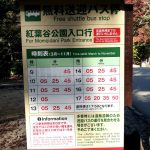 Bus schedule (every 20 minutes)