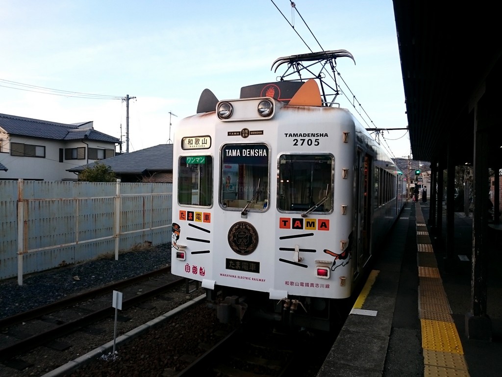 tama densha