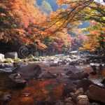 Autumn Leaves in Gokei Valley, Soja City