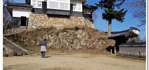 Bitchu Matsuyama Castle (Takahashi City)