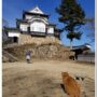 Bitchu Matsuyama Castle (Takahashi City)