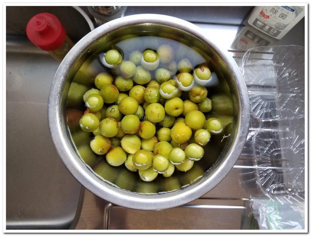 How to make homemade Umeshu (Japanese plum wine) The Wadas On Duty