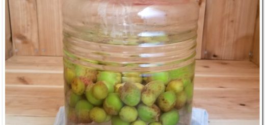 how to make homemade umeshu (Japanese plum wine)