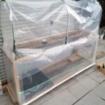 Year 2 – February Week 1: Instant Greenhouse