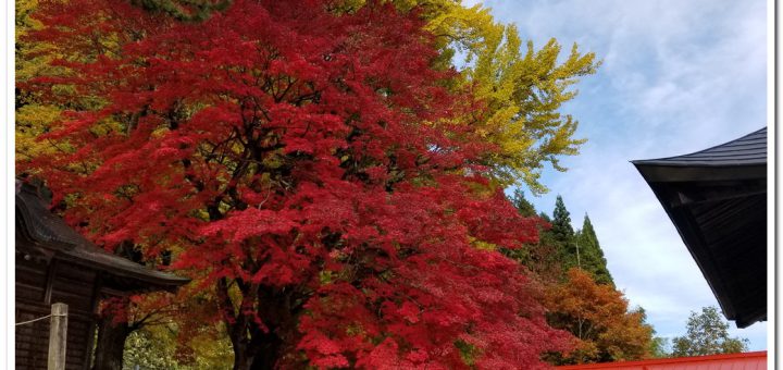 Autumn-Leave Spot in Hiruzen | Tokuyama Shrine