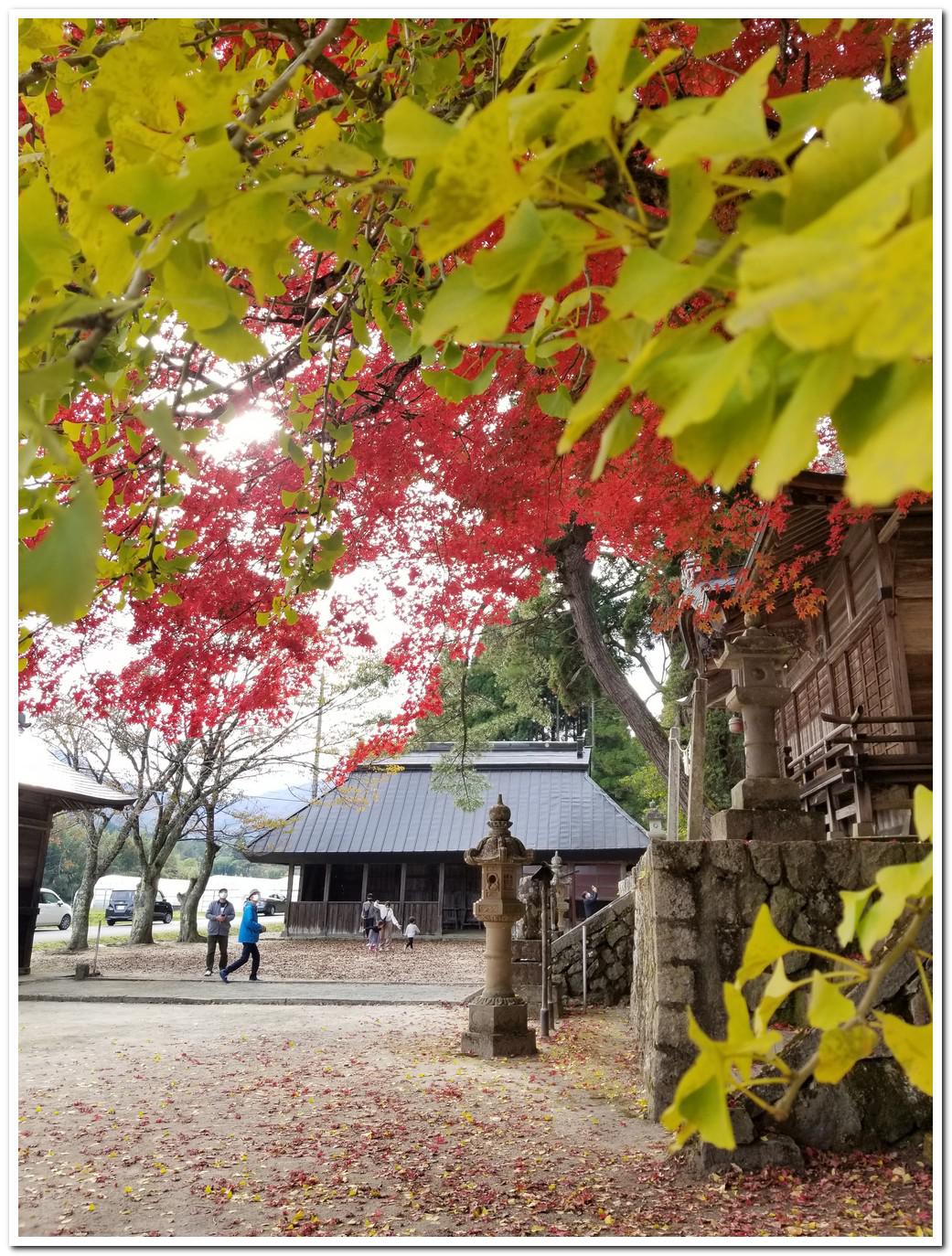 autumn_leaves_at_tokuyama_shrine_hiruzen_maniwa_okayama_06